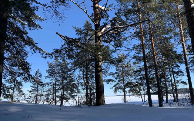 Гостевой Дом Вилла Ранду