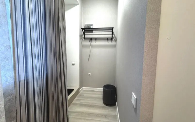 Studiya Na Chapaevskoy Apartments