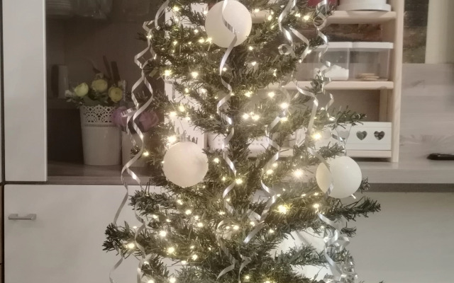 Апартаменты Студия в Лесной Отраде