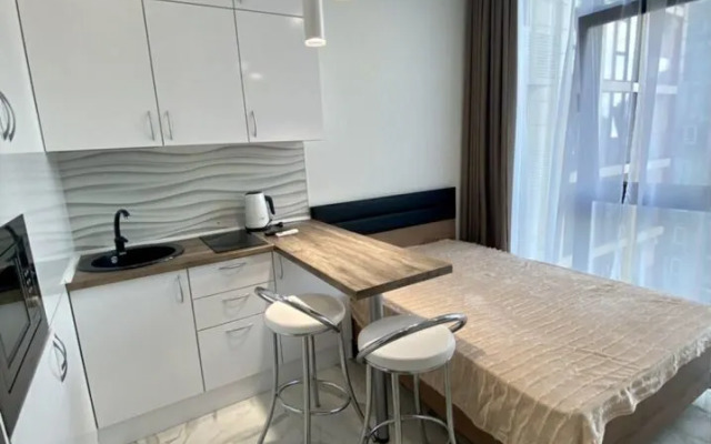 Квартира на Депутатской 10Б/1 (98)