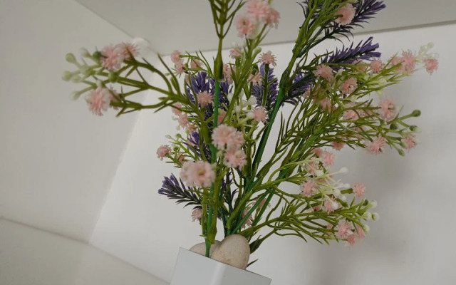 Апартаменты Аврора  четырехместные (id 122к1)