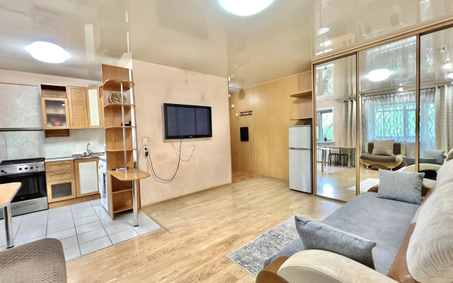 Квартира Уютный дом Дикопольцева 72