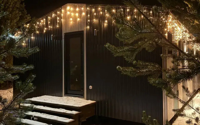 Частный дом в лесу