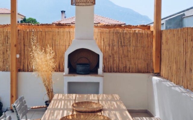 Ion Villa