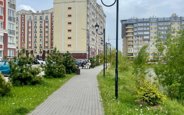Traditsiya Flat