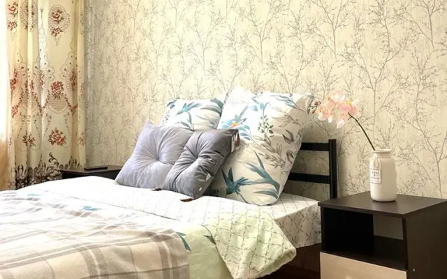 Servisnye apartamenty na prospekte Lenina Flat