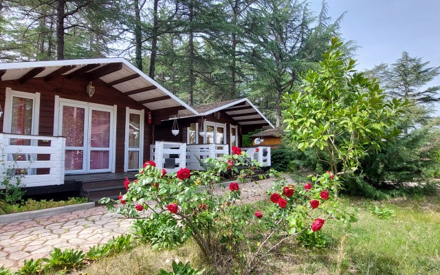 Eco House Pitiunt Resort Hotel