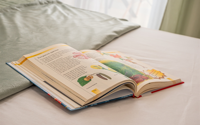 Квартира уютная на Доваторцев 82/2