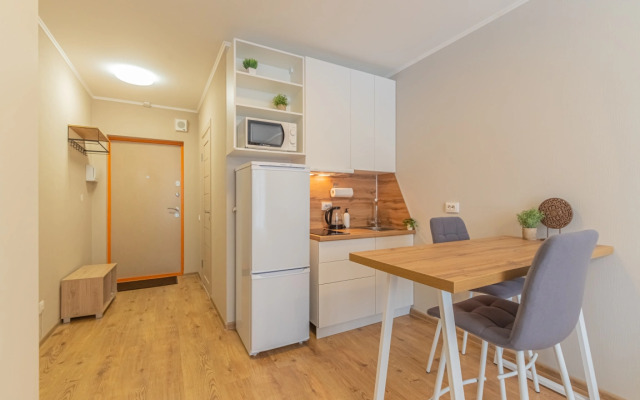 Apartment Standart SalutApart 8