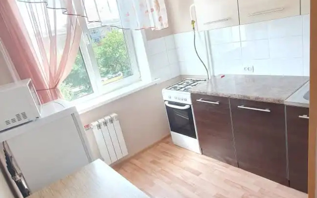 Zhdem Gostey Lenina 49 Apartments