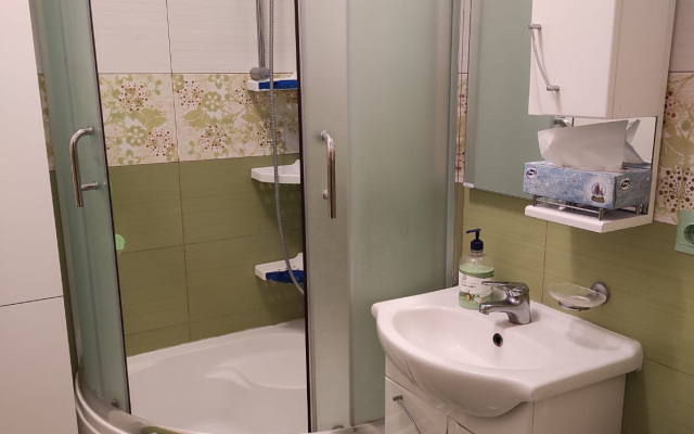 V Zelenogradske Na Potemkina Apartments