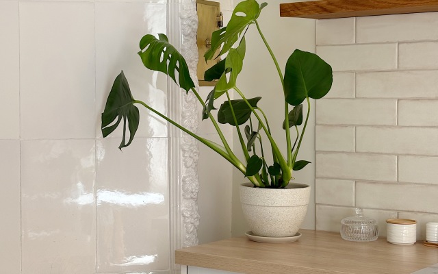 Studio Azure Studio Flat