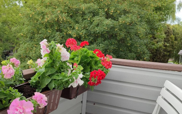 Квартира У музея ИЗО