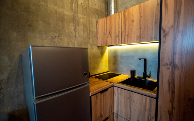 Апартаменты Бизнес Студия с Проектором №298-1