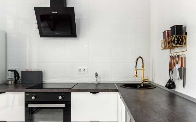 Na Mechnikova Flat