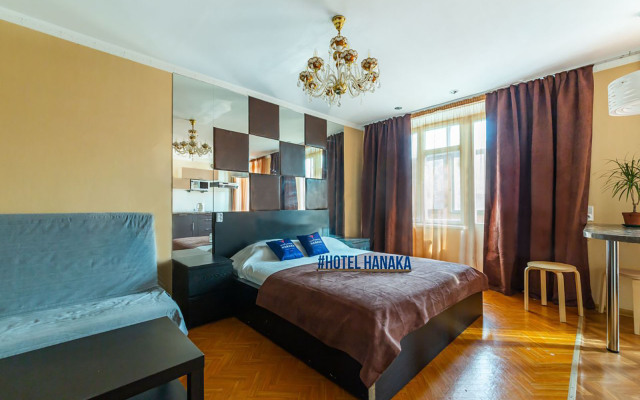 Apartment Hanaka 1-ya Vladimirskaya 18