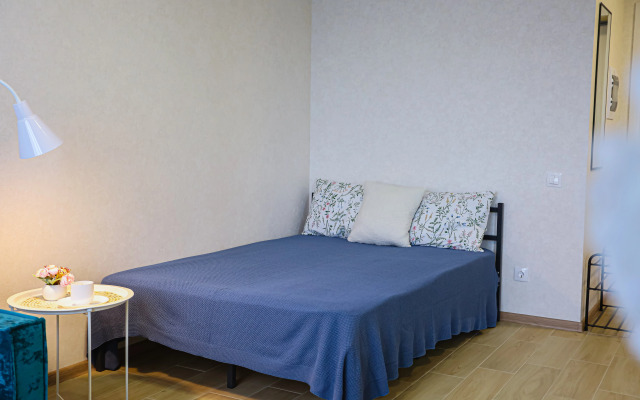 U Petrovny uyutnaya Studiya Flat
