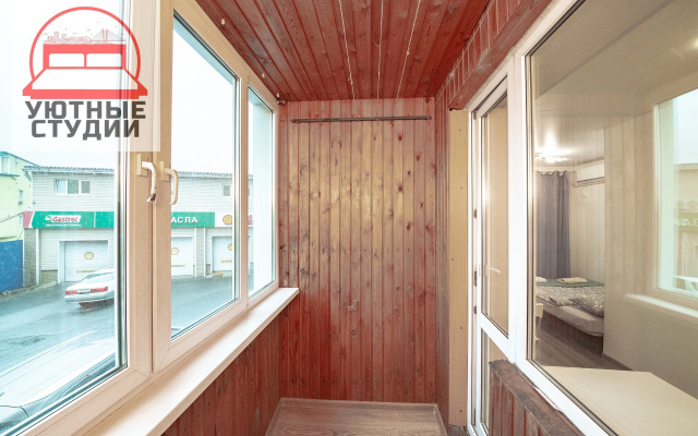 Квартира-студия на Некрасовской