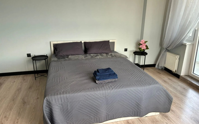 V Tsentre Kaliningrada Flat