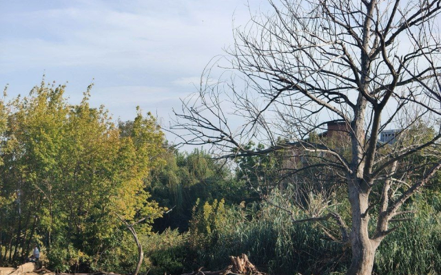 Квартира с панорамными окнами с видом на озеро