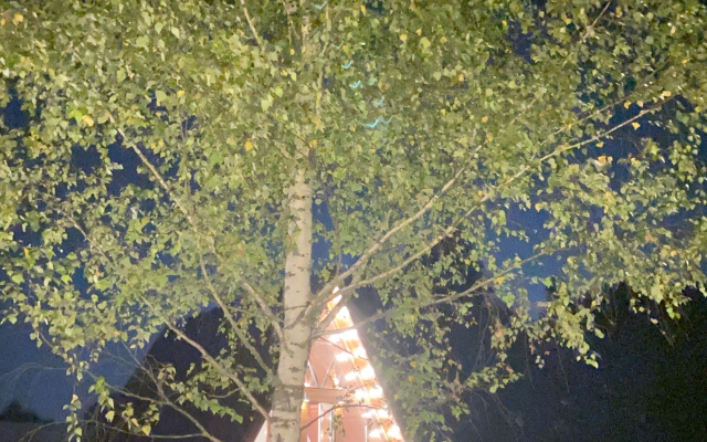 Dom S Kovrom Private house