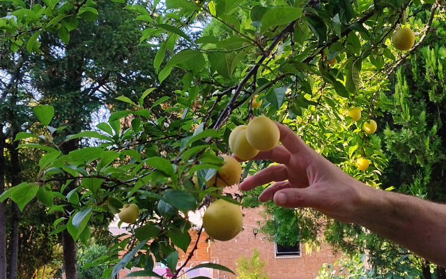 Вилла la pineta di Sinalunga e dépendance