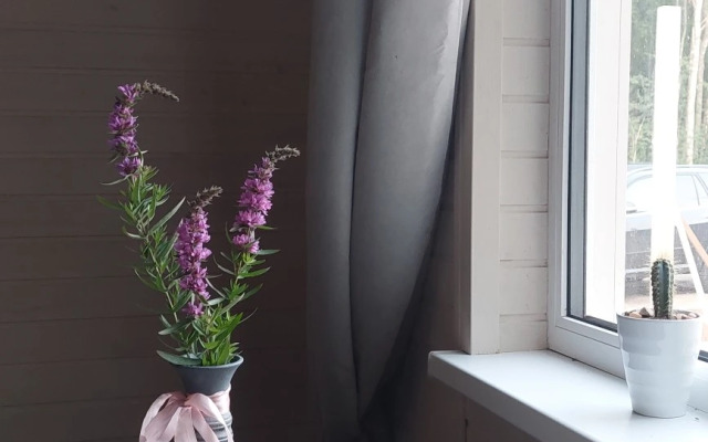 Эко Апартаменты с Внутренним Двориком