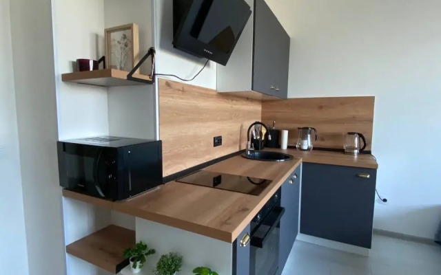 Апартаменты Место силы в Солнечном Городе