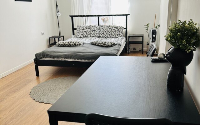 Апартаменты Большие на Черняховского