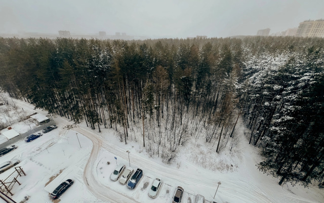 Квартира с видом на сосновый лес Идеально для семьи Уютно Ижевск