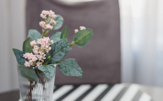 Апартаменты Рязанка как Дома