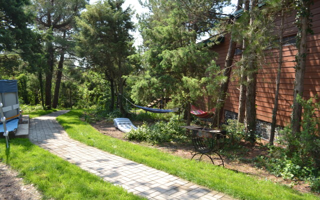 Lodge Altai Recreation center
