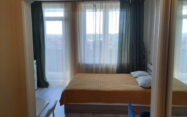 Апартаменты Светлогорск 25кв