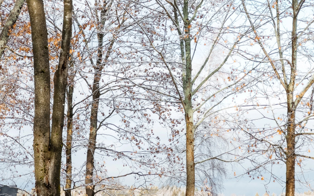 Кемпинг Берег Желаний