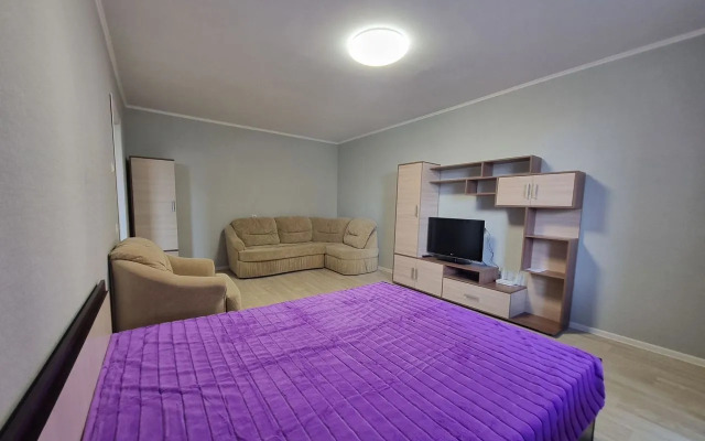 Na Radischeva  Flat