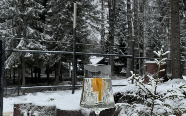 Частный дом Nord 47