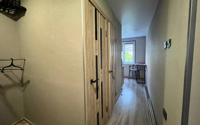 Квартира 1-комнатная на Александрова 30/1