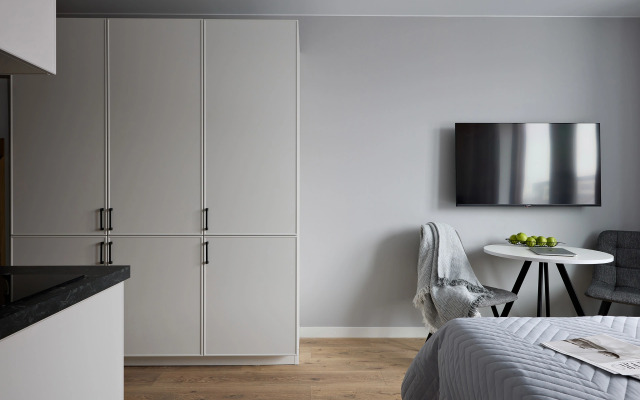 Квартира Заневский 215