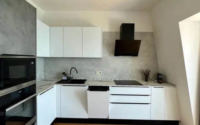 Graf Tolstoy Flat
