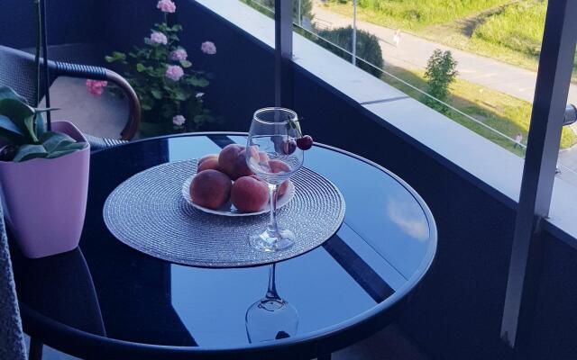 Квартира в Курортном Светлогорске-2