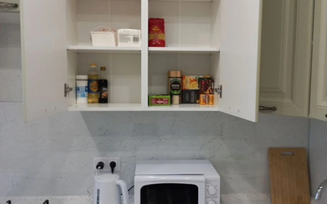 1-Komnatnaya S Otlichnym Remontom Flat