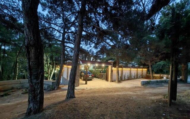 Sosnovyij Raj Villa