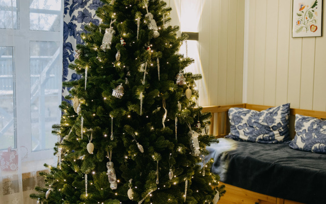 Частный дом Синяя СИНИЦА