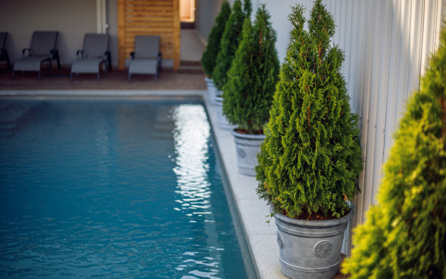 Nautilus Family Guest house
