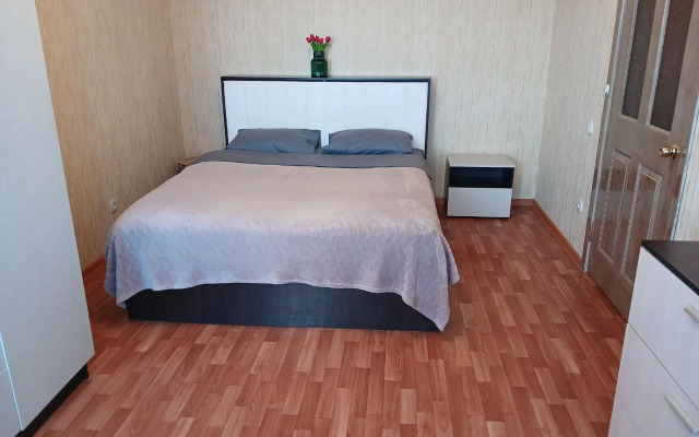 Aday Aparts V Tsentre Kurska Apartment