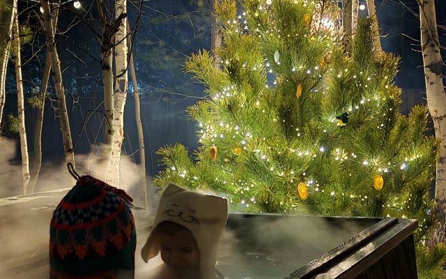 Гостевой дом Лесной домик