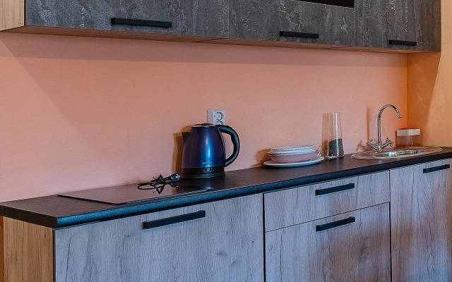 Апартаменты Студия Ленинский район