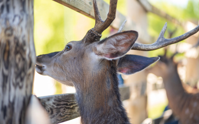 Отель Комплекc Загородного отдыха  Место 7