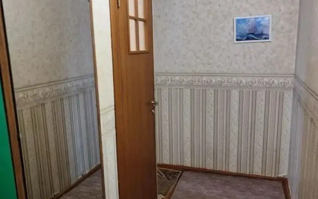 Апартаменты Просторные на Пионерской