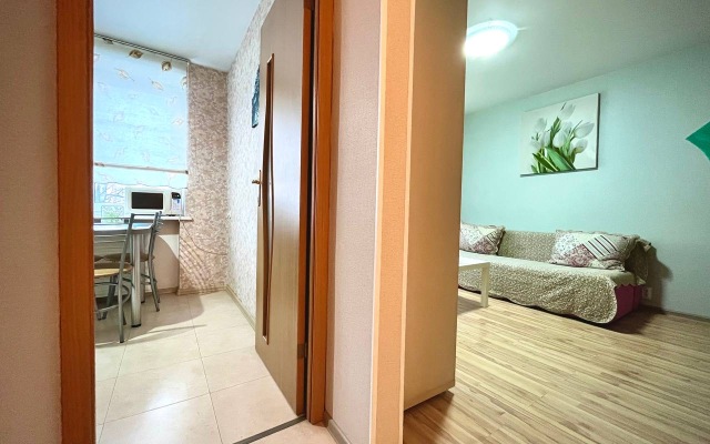 Apartamenty v Tsentre na Universitetskoi